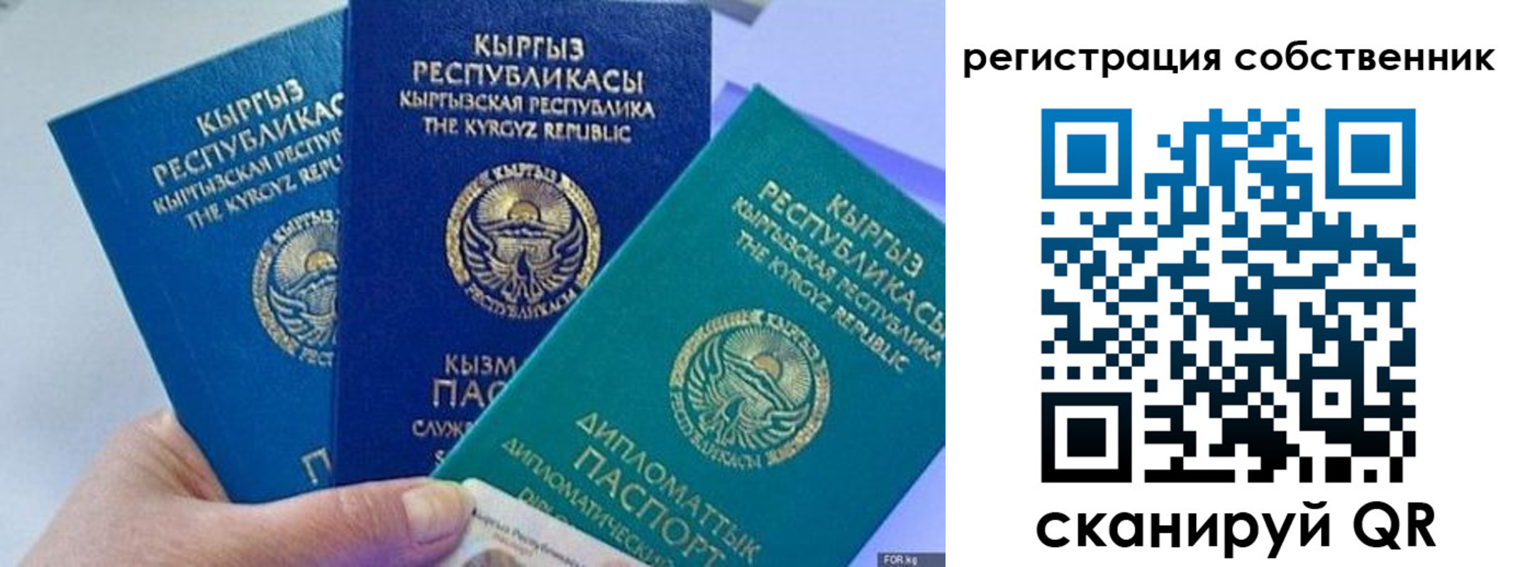 регистрация в Полярных Зорях